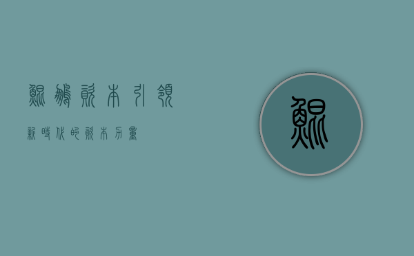 鲲鹏资本，引领新时代的资本力量