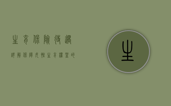 生育保险待遇详解，保障女性生育权益的重要一环
