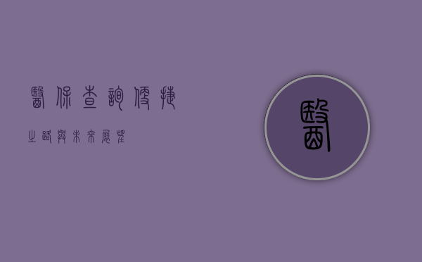医保查询，便捷之路与未来展望