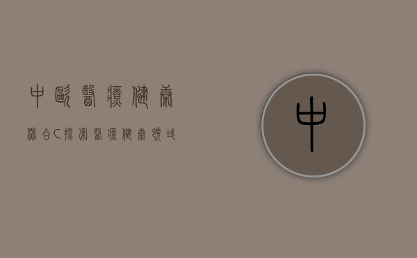中欧医疗健康混合C，探索医疗健康领域的投资机会与挑战