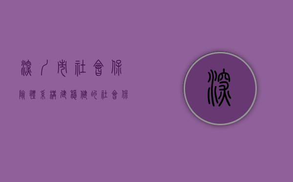 深圳市社会保险体系，构建稳健的社会保障网络