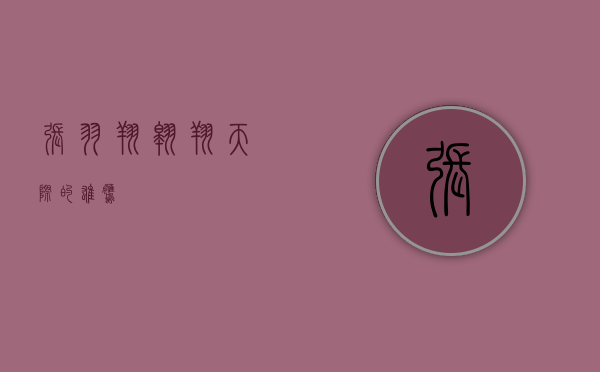 张羽翔,翱翔天际的雄鹰