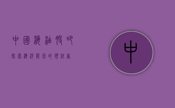 中国海油股吧，探索海洋能源的领航者