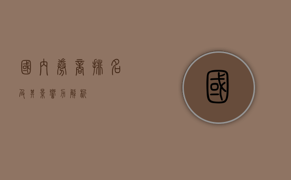 国内券商排名及其影响力解析