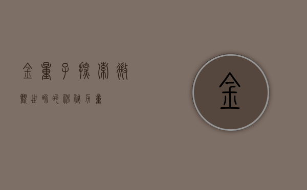 金量子，探索微观世界的神秘力量
