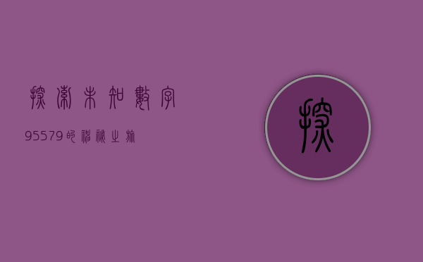 探索未知，数字95579的神秘之旅