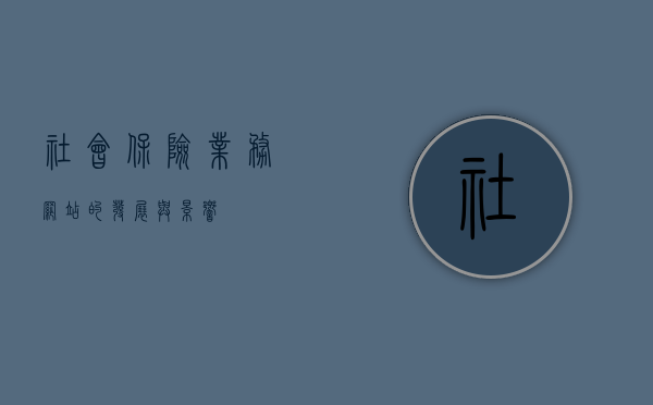 社会保险业务网站的发展与影响
