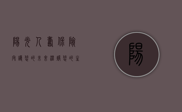 阳光人寿保险，守护您的未来，温暖您的生活