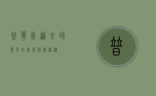 普华永道，全球领先的专业服务机构