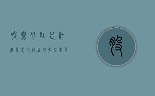 股票分红是什么意思—投资者的收益之源