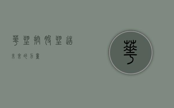 华塑控股，塑造未来的力量