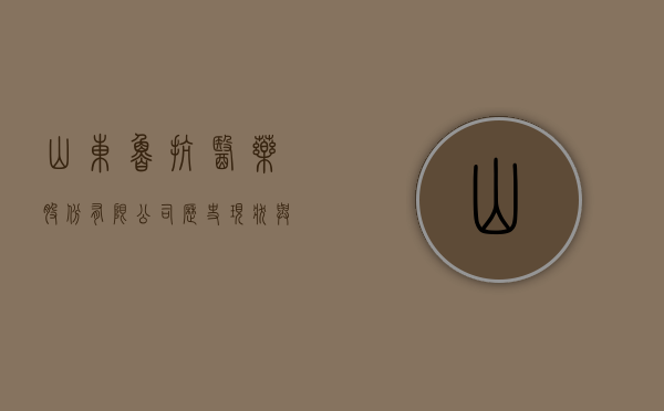 山东鲁抗医药股份有限公司，历史、现状与未来展望