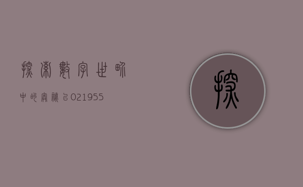 探索数字世界中的奥秘，以02195559为引