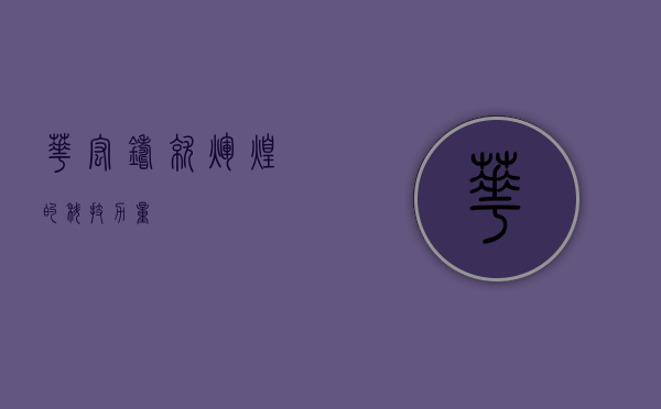华宏，铸就辉煌的科技力量