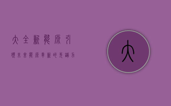 大全新能源，引领未来能源革新的先锋力量