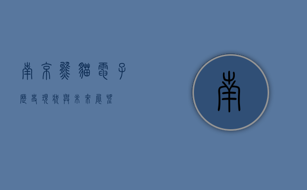 南京熊猫电子，历史、现状与未来展望