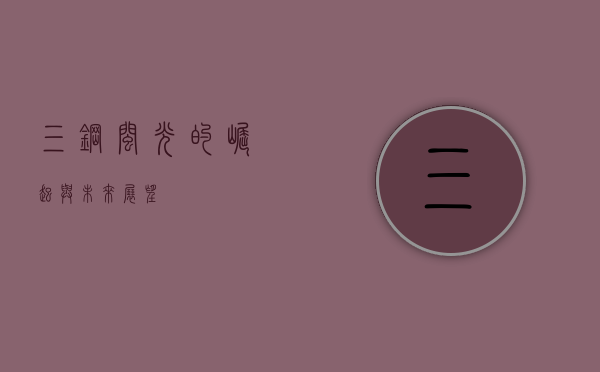 三钢闽光的崛起与未来展望