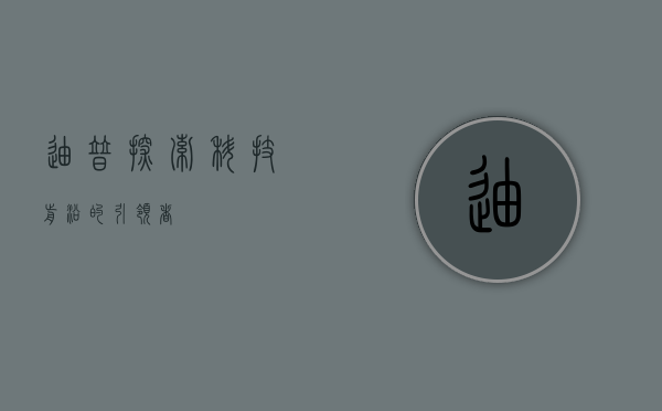 迪普，探索科技前沿的引领者