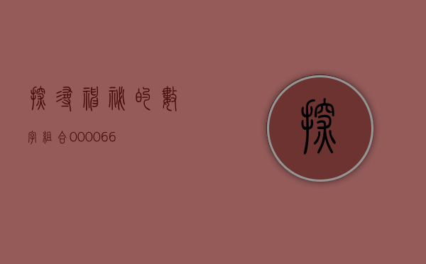 探寻神秘的数字组合—000066