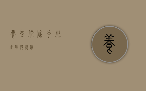 养老保险手册，理解与应用