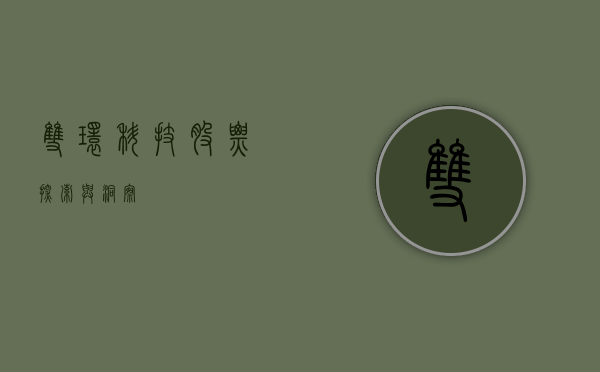 双环科技股票，探索与洞察