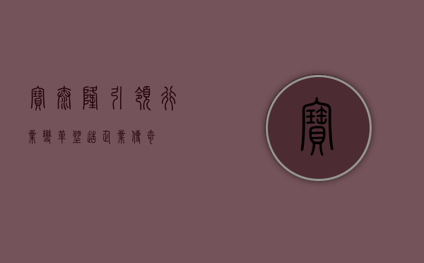 宝泰隆，引领行业变革，塑造企业传奇
