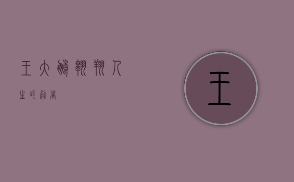 王大鹏，翱翔人生的勇者