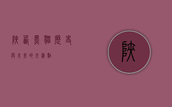 陕西黑猫，历史与未来的交汇点