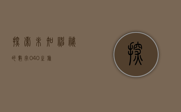 探索未知，神秘的数字040之旅