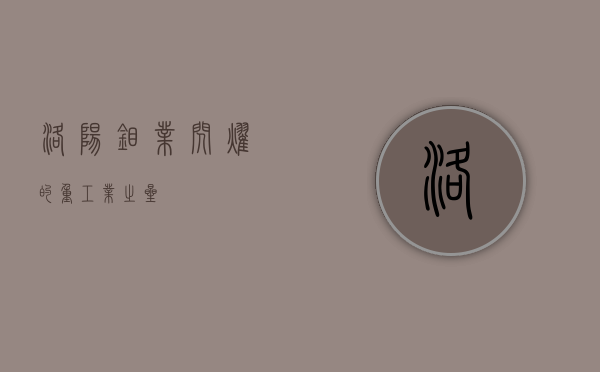 洛阳钼业，闪耀的重工业之星
