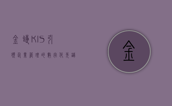 金蝶KIS，引领企业管理的数字化先锋