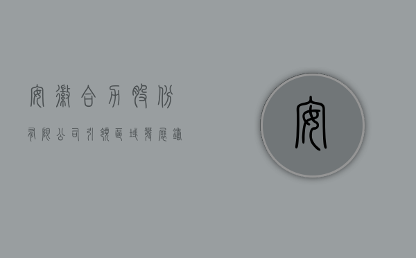 安徽合力股份有限公司，引领区域发展，铸就企业辉煌