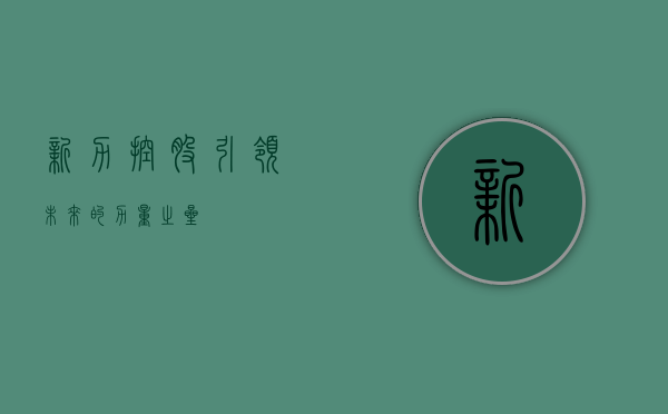 新力控股，引领未来的力量之星
