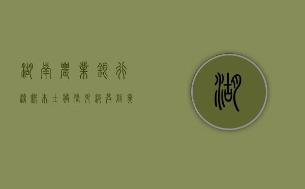 湖南农业银行，深耕本土，服务升级，共创美好未来