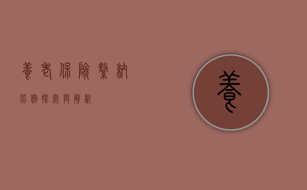 养老保险缴纳比例，探究与解析