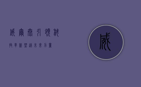 威尔泰,引领科技革新,塑造未来力量