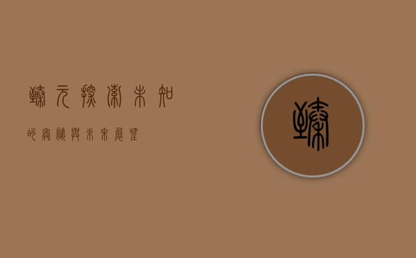 臻元，探索未知的奥秘与未来展望
