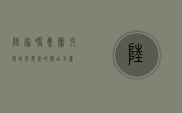 陆家嘴集团，引领城市发展的杰出力量