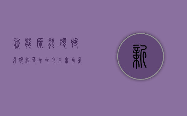 新能源龙头股，引领绿色革命的未来力量