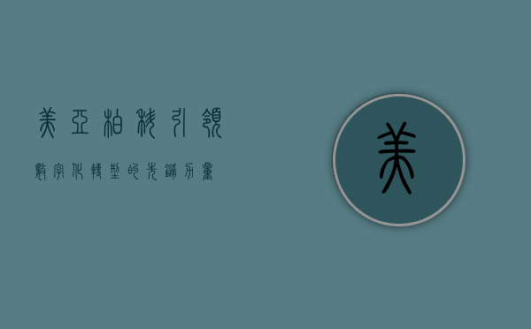 美亚柏科,引领数字化转型的先锋力量