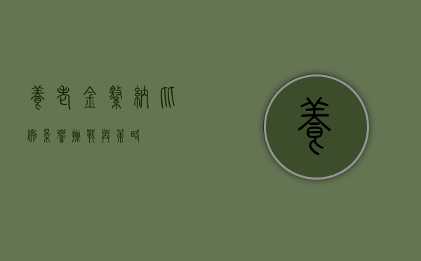 养老金缴纳比例，影响、挑战与策略