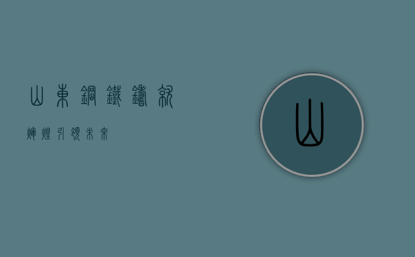 山东钢铁，铸就辉煌，引领未来