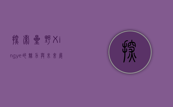 探索星野，Xingye的魅力与未来展望