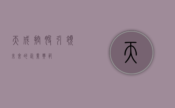 天成控股，引领未来的企业典范