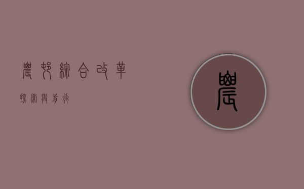 农村综合改革，探索与前行