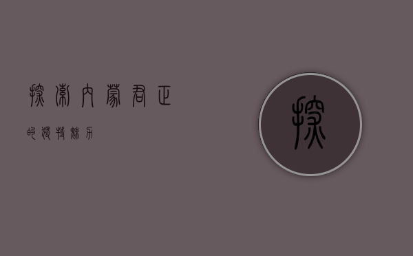 探索内蒙君正的独特魅力