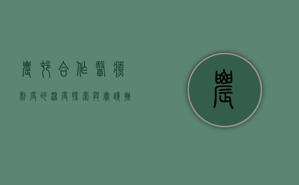 农村合作医疗制度的深度探索与实践挑战