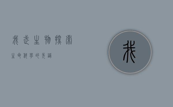 我武生物,探索生命科学的先锋