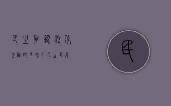 民生加银，深化金融改革，助力民生发展