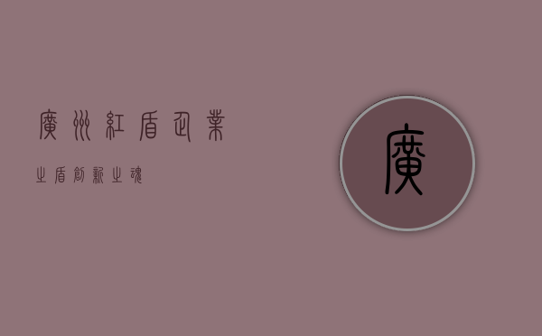 广州红盾，企业之盾，创新之魂